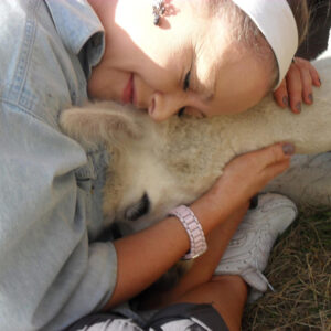 Bild 36