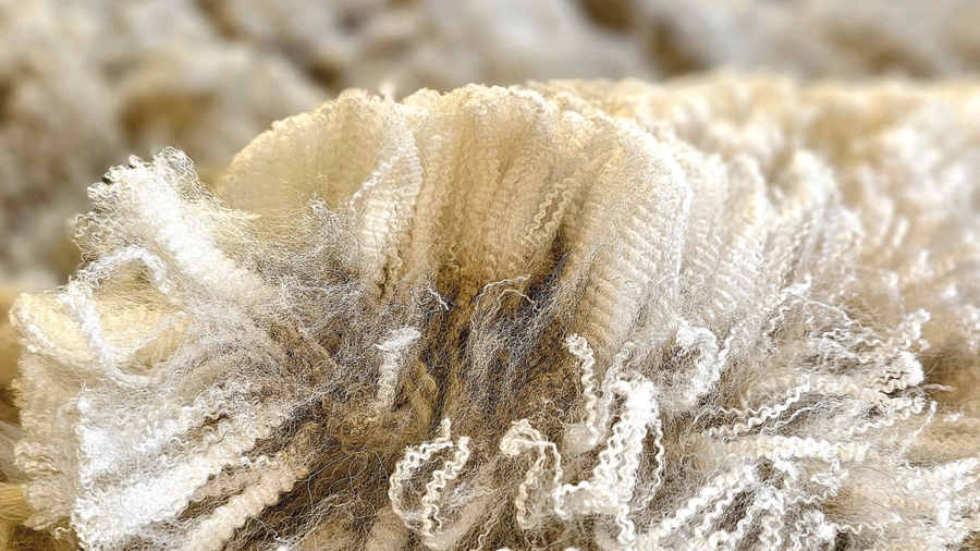 Gen- fokussierte Fasermessung-allespaka