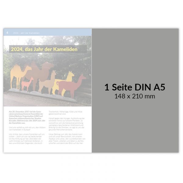 Werbeanzeige Schaukatalog – Bild 3