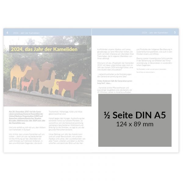Werbeanzeige Schaukatalog – Bild 4