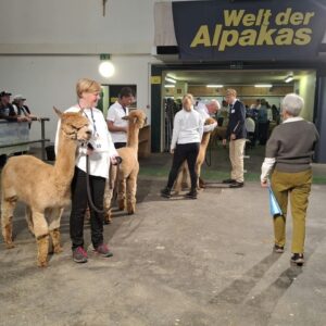 Welt der Alpakas 2026 14