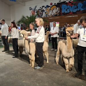 Welt der Alpakas 2026 15