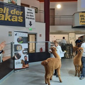 WeltAlpakas2022_9