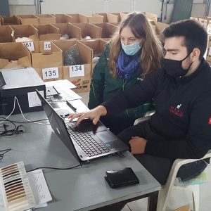 vliesshow_welt_alpakas2020_13