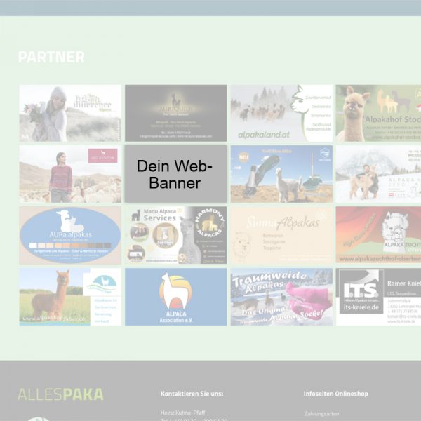 Web-Banner