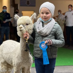 welt_alpakas_2021_5